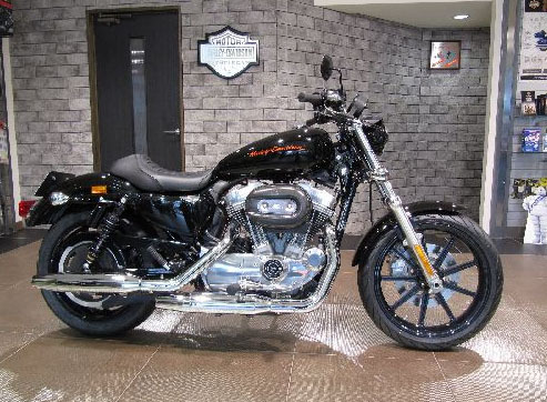 harleyXL883Lwhool.jpg
